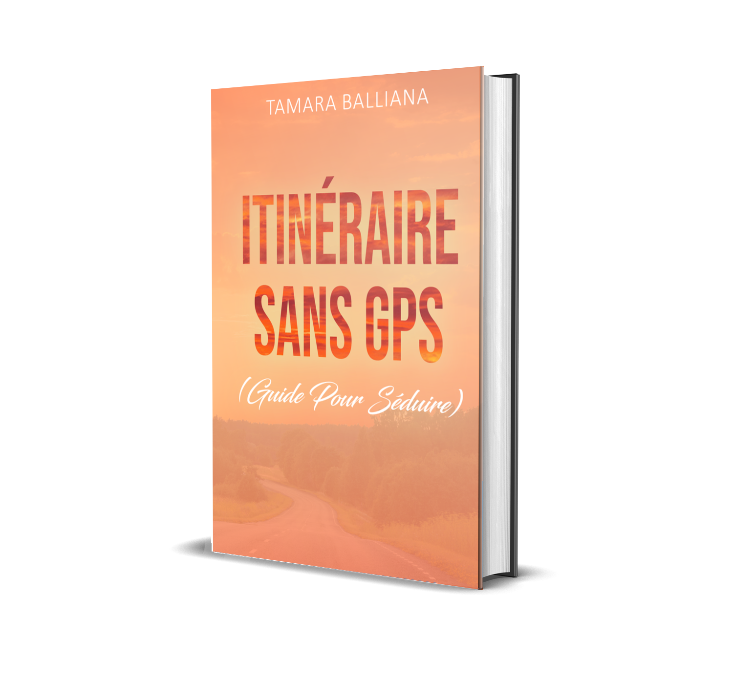 Itinéraire sans GPS (Guide Pour Séduire) - Relié illustré